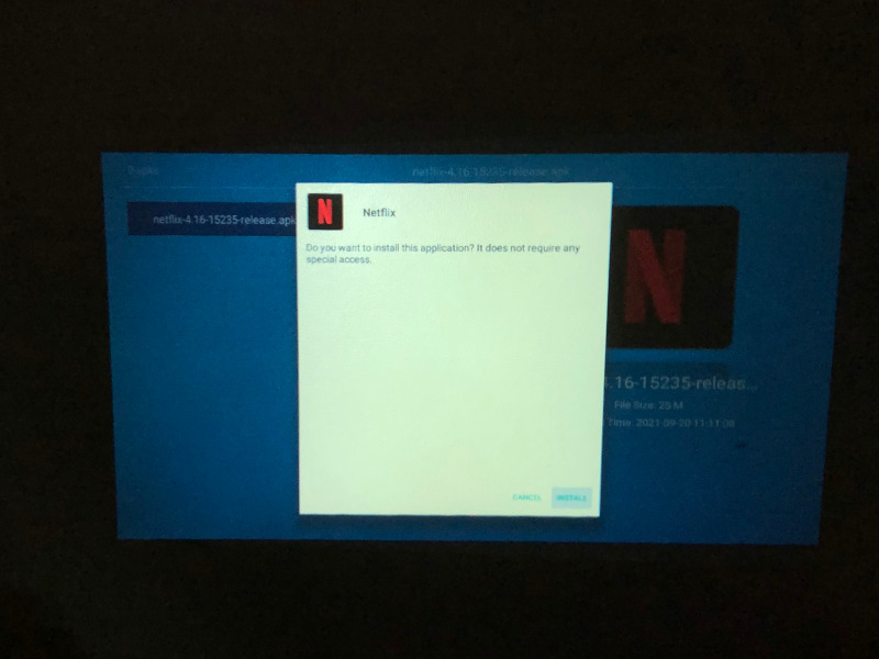 choosing to install Netflix app on chinese projector